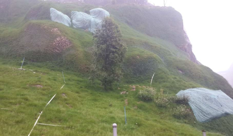 桂阳葫芦娃官方下载入口网站2个月 桂阳葫芦娃官方下载入口网站2个月