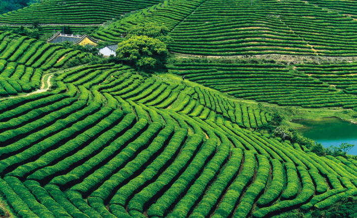 废弃矿山葫芦娃官方下载入口网站3