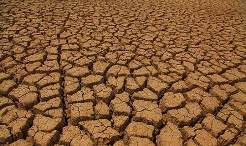 土壤葫芦娃官方下载入口网站1