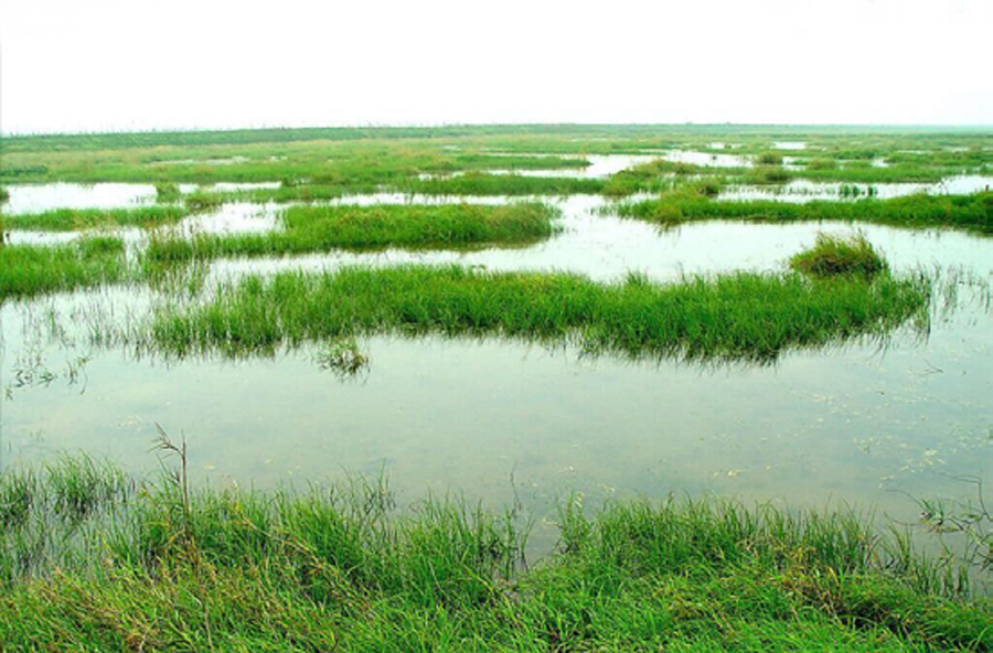 水生态葫芦娃官方下载入口网站1