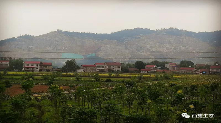 葫芦娃免费视频官网下载生态华容县考察2