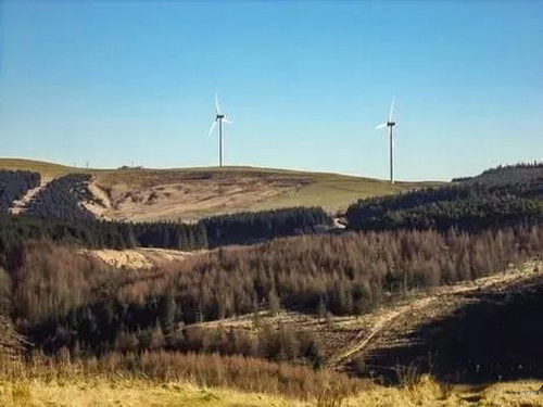 矿山葫芦娃官方下载入口网站热点5