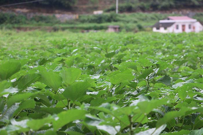 2019官网 2019官网