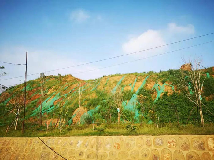 狮子山葫芦娃官方下载入口网站中2官网