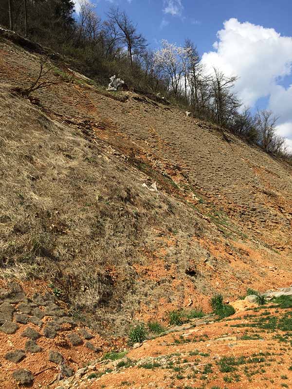 葫芦娃官方下载入口网站前