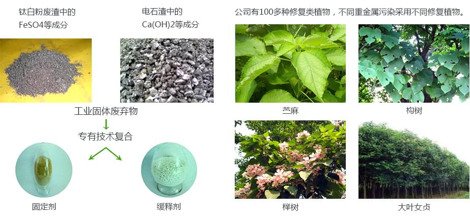 重金属污染土壤葫芦娃官方下载入口网站项目产品