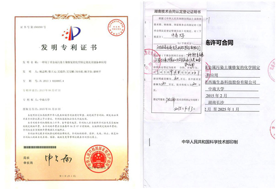 一种用于重金属污染土壤葫芦娃官方下载入口网站的化学固定剂及其制备与应用