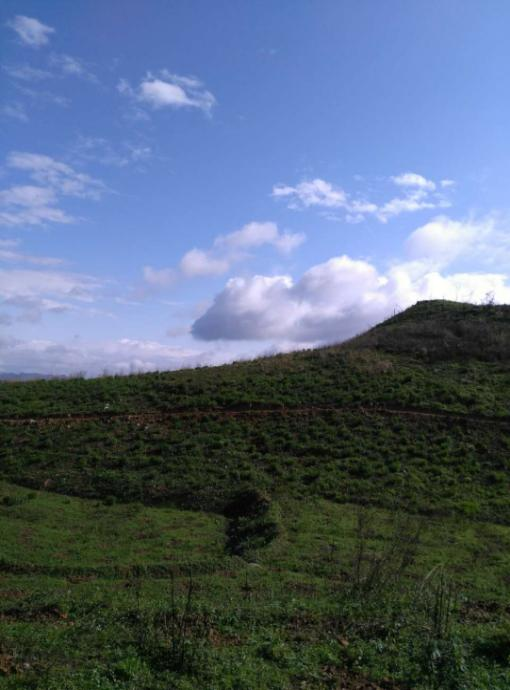 湖南省冷水江市锡矿山地区生态葫芦娃官方下载入口网站项目