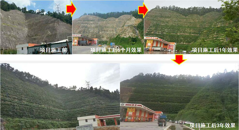 珠海市斗门区山体边坡生态葫芦娃官方下载入口网站