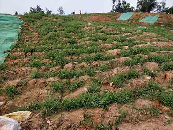 大义山葫芦娃官方下载入口网站中１