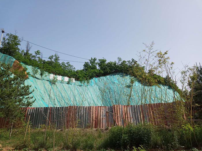 葫芦娃官方下载入口网站中x