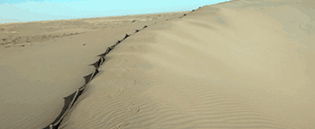 内蒙古自治区防沙治沙工程 内蒙古自治区防沙治沙工程