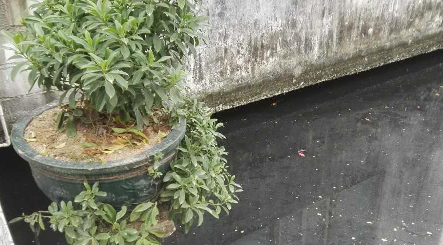 珠海南屏3 珠海南屏3