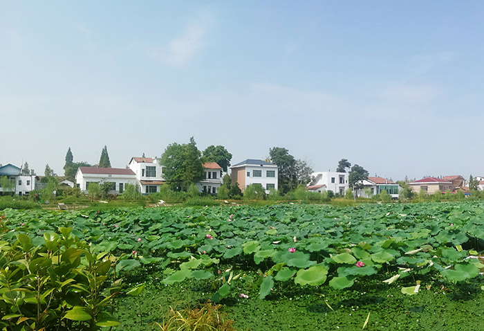 葫芦娃官方下载入口网站后２x