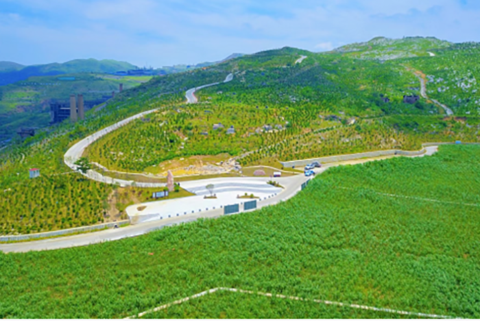 葫芦娃官方下载入口网站后